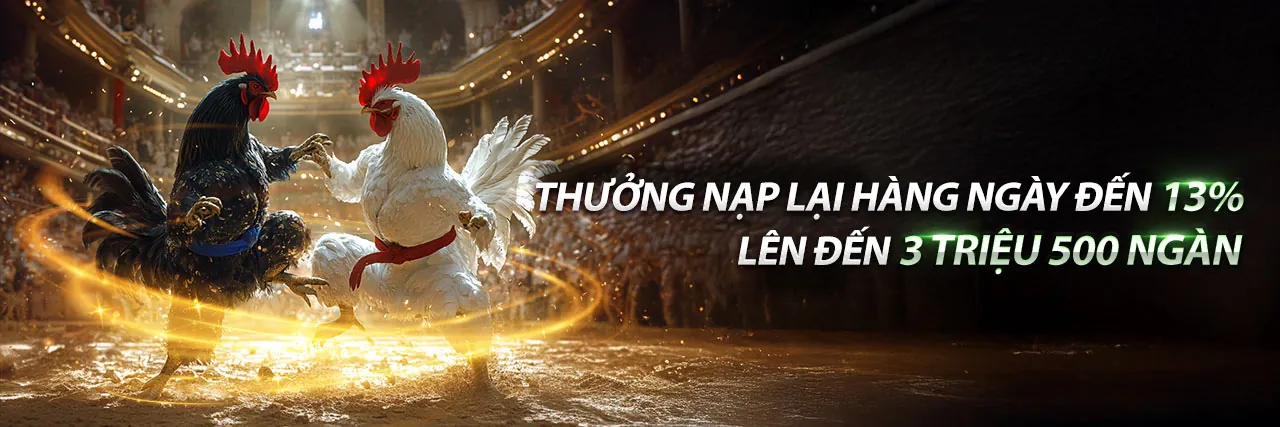 Đội ngũ hỗ trợ khách hàng Sabong67 chuyên nghiệp